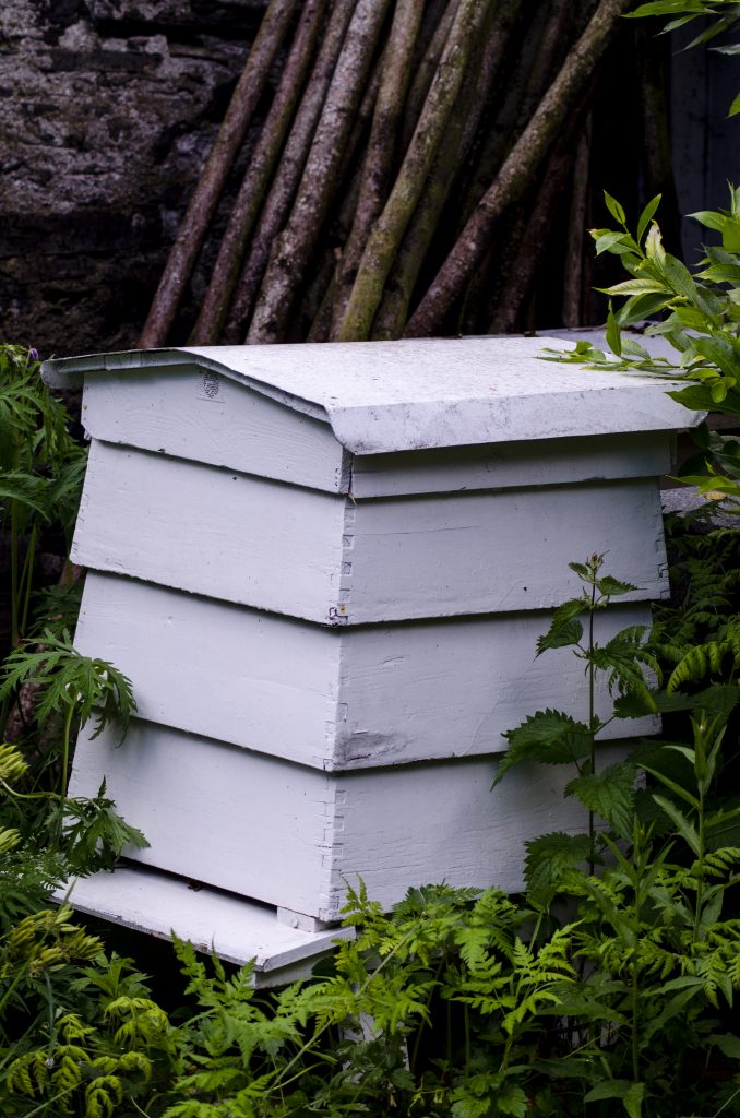 A beehive nestled among green shrubbery